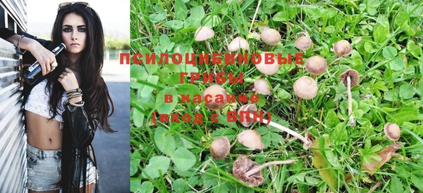 jwh Алзамай